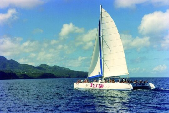 Hop & Drop Soufriere Transfer For Cruise Ship Passengers