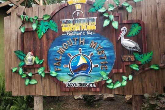 Private Luminous Lagoon Tour from Montego bay