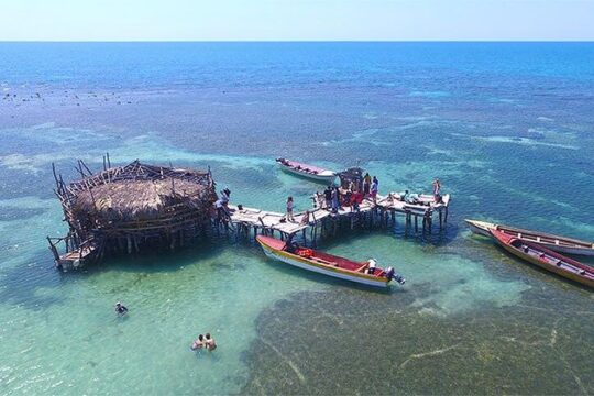 YS Falls and The Pelican Bar Adventure Tour from Negril