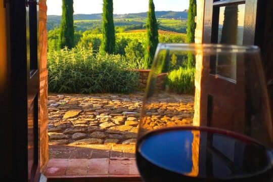 Private Wine Tour and Tastings at Dafnes Valley (Lunch Included)