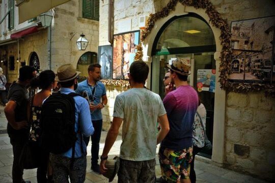 Dubrovnik's Old Town Walking Tour