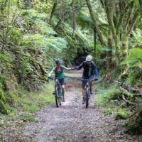 Multi-day & Extended Tours