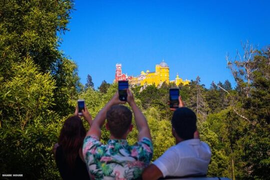 Private Half-Day Tour of Sintra