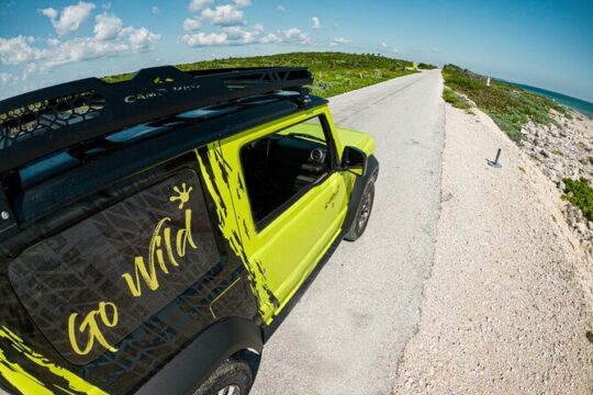 Full Day Cozumel Tour Getting to Know Club Playa Mia