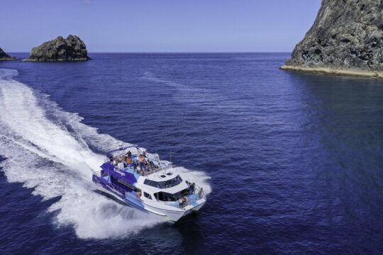The Original Full day Bay of Islands Cruise with Dolphins