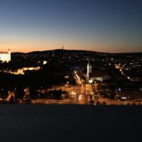 Night Tours