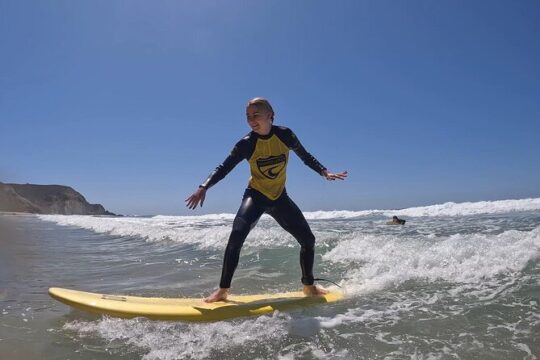 Group Surf Lessons (1 per day)