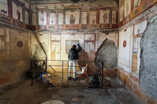 Private Pompeii Walking tour of the Latest Discoveries
