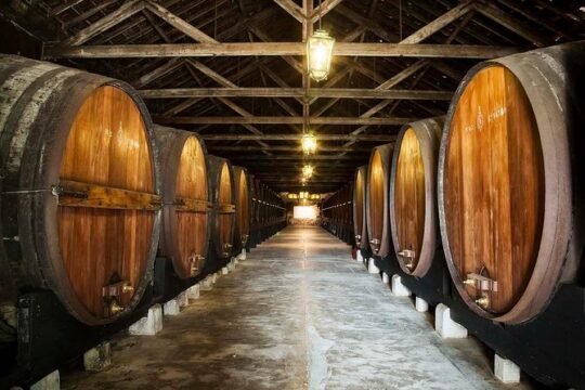 Private Lisbon wine tasting tour in the Setubal region