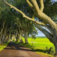 Self-guided Tours & Rentals