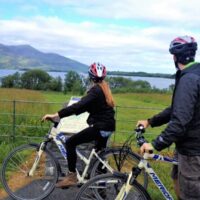 Bike Rentals