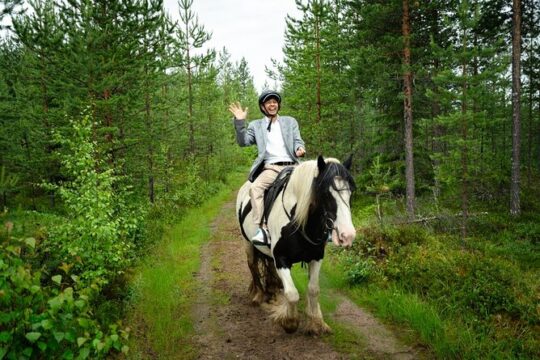 2h30 Horseback Riding program in Rovaniemi