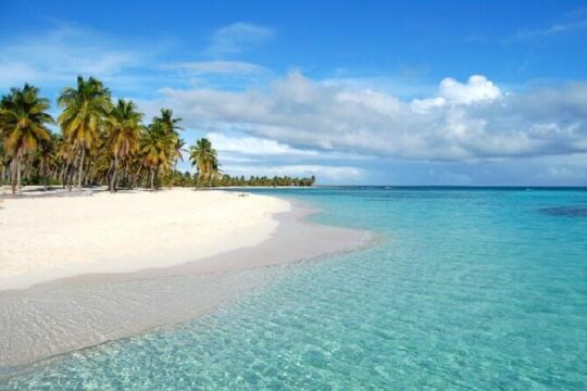 Saona Island Full Day 6 in 1 Tour from punta cana