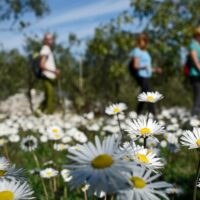 Walking & Biking Tours