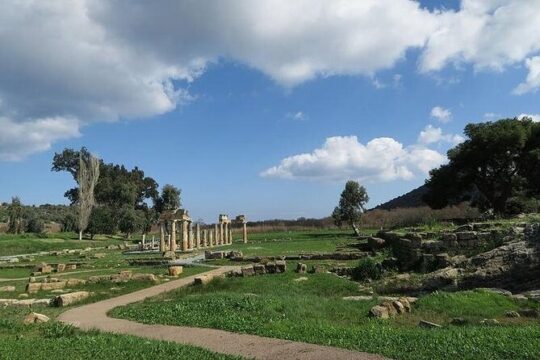 Ancient Nemea&Wine Tasting Nafplio Full Day Private Tour 8seat