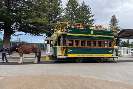 Private Guided Hahndorf & Victor Harbour Scenic Adventure Tour
