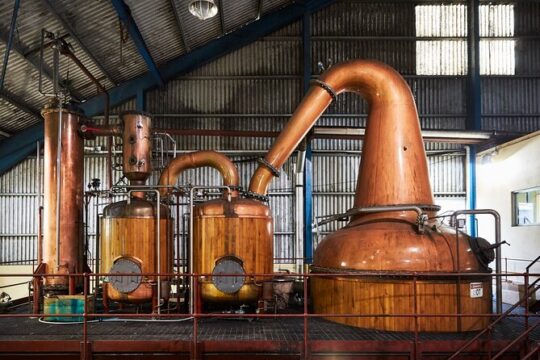 Worthy Park Estate Rum Tour from Ocho Rios