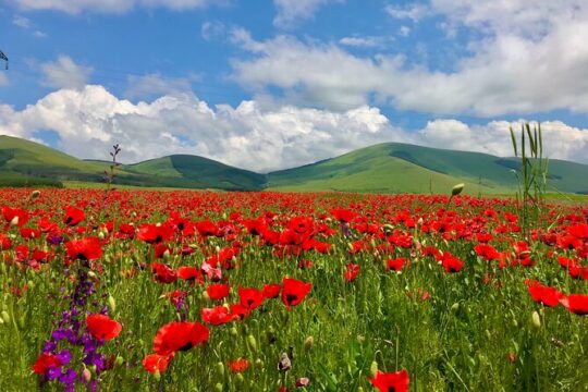 The Best of Georgia 7 Days Private Jeep Tour from Tbilisi