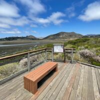 Walking & Biking Tours