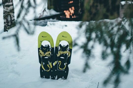 Rovaniemi: Snowshoeing in a magical snowy forest