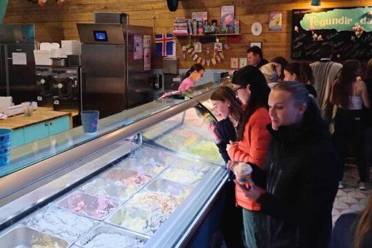 Reykjavik Food Tour - Old Harbor Walking Tour