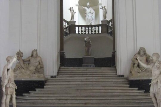 National Archaeological Museum and Pompeii ruin with Guide- skip the line