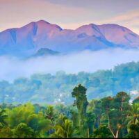 Bus & Minivan Tours
