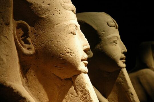 Half Day from Milan: discover Turin and the Egyptian Museum Private Tour