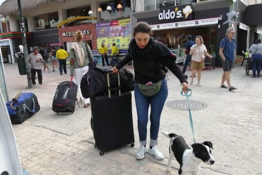 PET FRIENDLY Private Transfer Cancun - Playa del Carmen