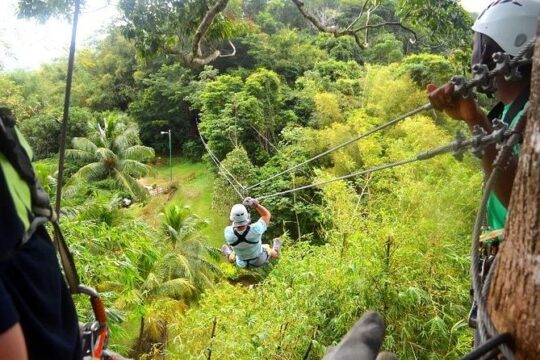 Trinidad Zipline Adventure