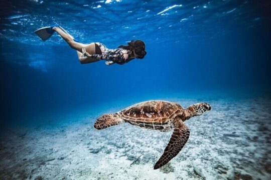 6 Hour Private Boat Activity with Snorkeling & Lunch