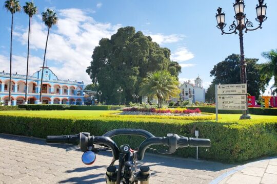 Biking to The Ancient Tule Tree