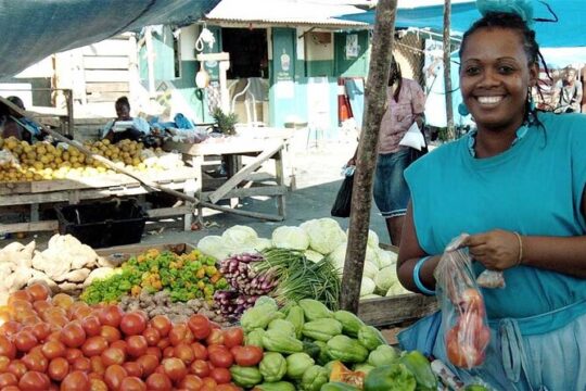 Montego Bay City Private Tour