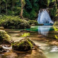 Shore Excursions