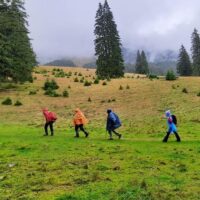 Eco Tours