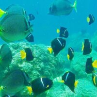 Multi-day & Extended Tours
