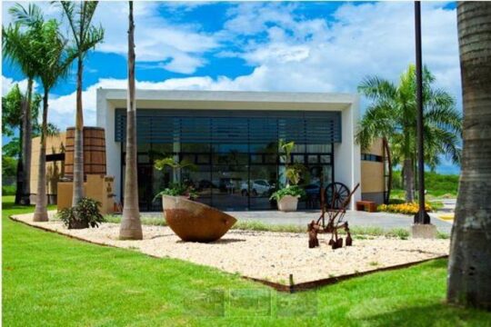 Ron Barcelo Anejo Experience Factory Tour