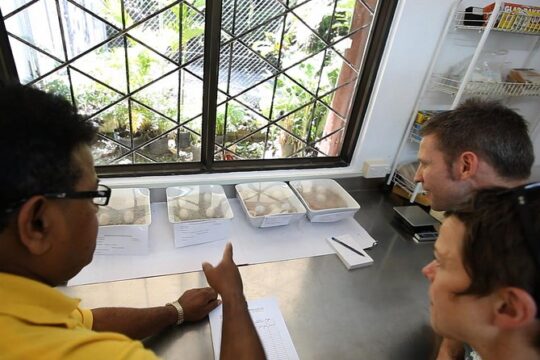 Behind The Scenes Guided Tour