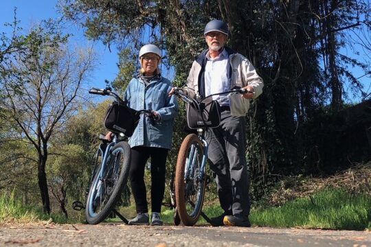 Best E-Bike Rental! Wine country fun