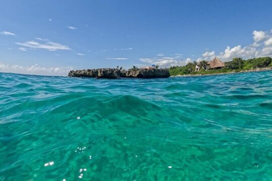 ATV Extreme Snorkel from Cancun
