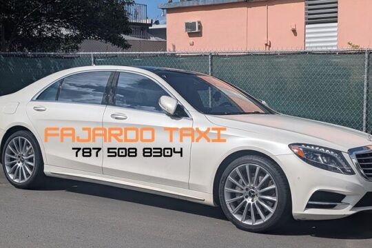 6 Hours Private Sightseeing Tour on Westside of Puerto Rico