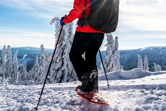 Snowshoeing Tour in the Heart of Pure Arctic Nature