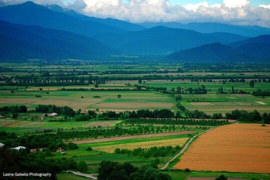 Two Days in Gorgeous Wine Region with Full board Meals and Tastings From Tbilisi
