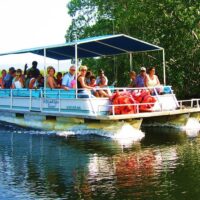 Full-day Tours