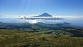 Great overview of Faial.