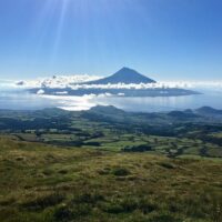 Shore Excursions