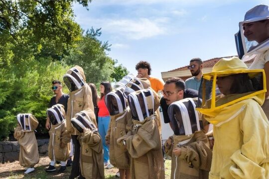 Honey Extraction Workshop with Tasting in Zafferana Etnea