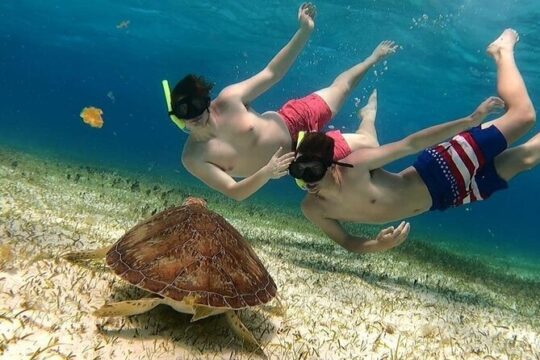 Cozumel Catamaran Snorkeling tour to el Cielo Beach