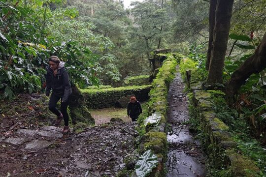 Full Day Hiking Trail Waterfalls- in Lomba de São Pedro - Azores