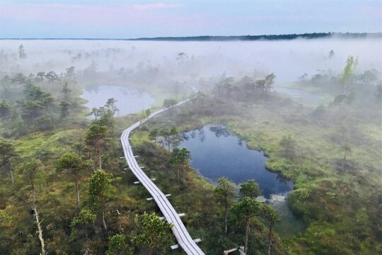 Tour To Ķemeri National Park And Smoked Fish Tasting